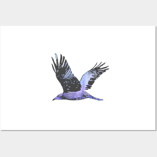 Blue bird in flight with watercolour effect Posters and Art